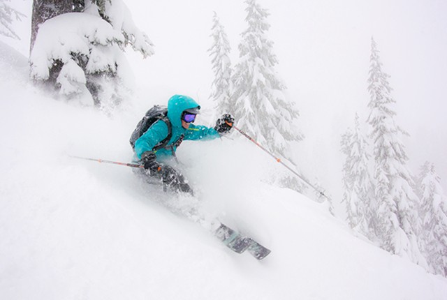 Mt. Baker WA, powder day.