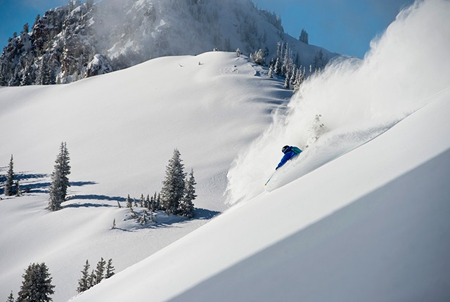 Alta, Utah, powder bluebird day.