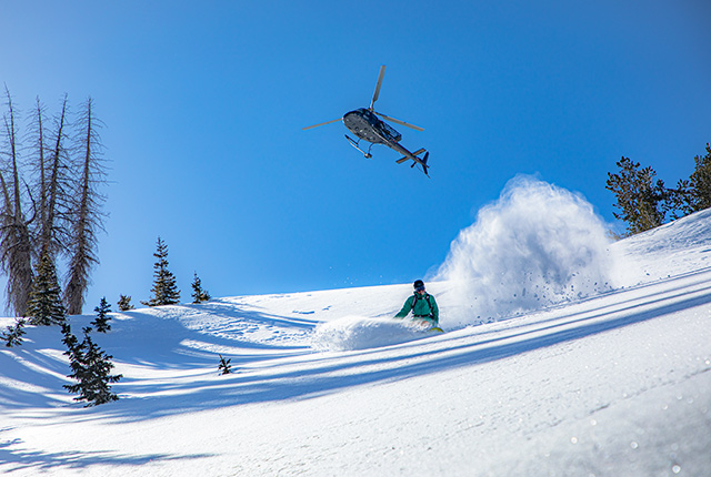 Powderbird Heli Ski at Snowbird.