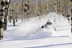 Indy Pass 2021 Powder Mountain Snowcat Safari