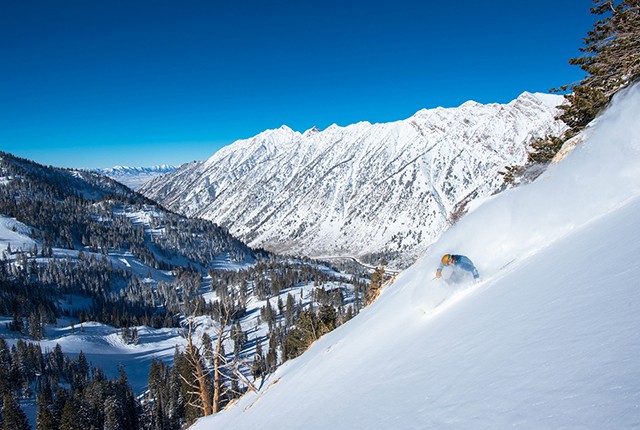 Snowbird Utah, powder skiing bluebird day.