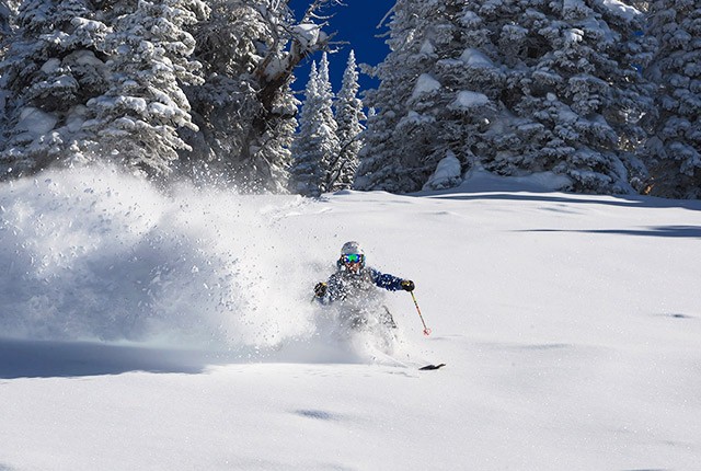 Female skier powder Aspen Snowmass.