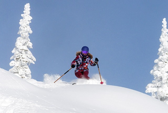 Steamboat CO, female skier in powder bluebird day.