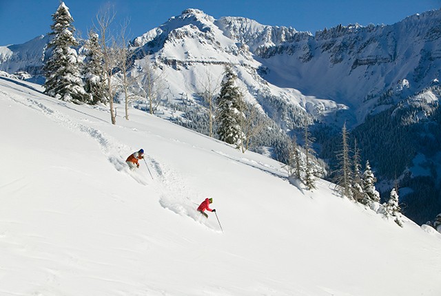 Telluride Ski Resort skiers on run in powder.